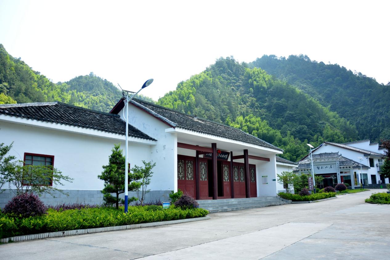 浏阳市张坊镇:用好"绿色不动产" 守好"幸福提款机"-新湖南