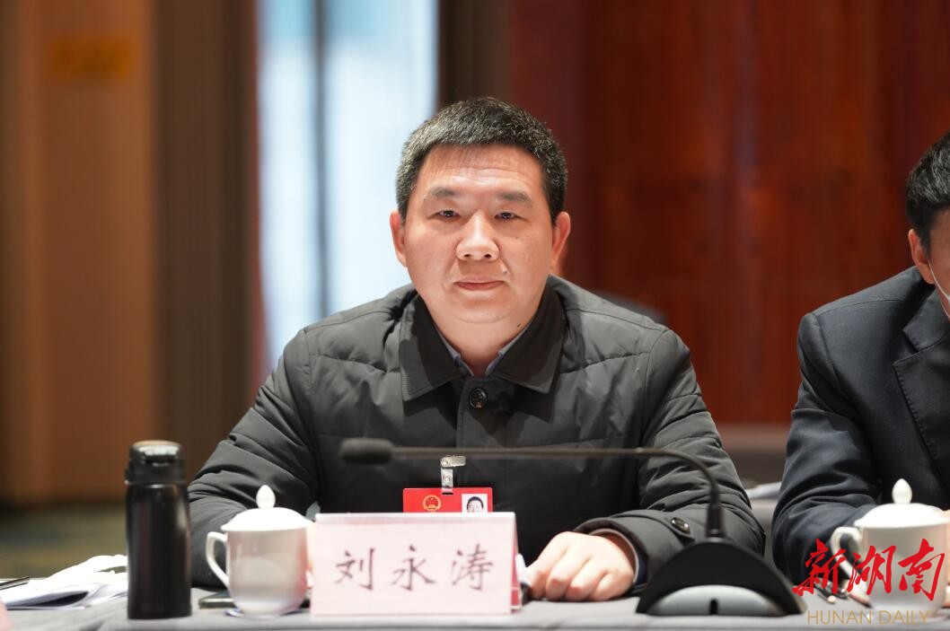 岳阳两会·代表之声92 | 刘永涛:支持岳阳楼区创建
