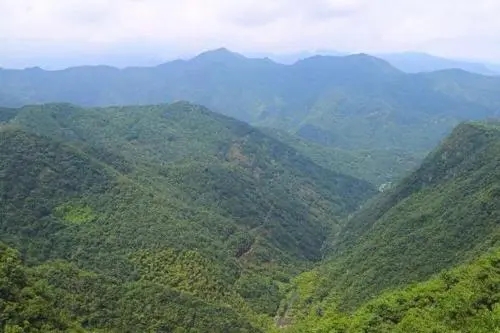新年第一天 怀化市民中坡山登高祈福
