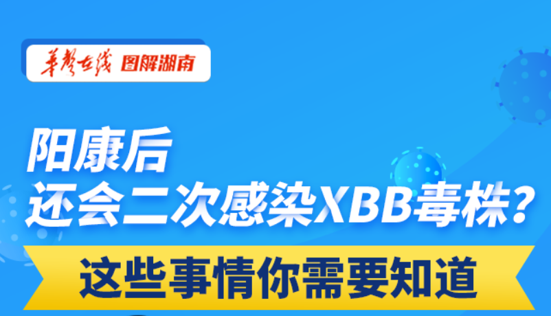 【科普动起来】图解|阳康后还会二次感染XBB毒株？这些事情你需要知道