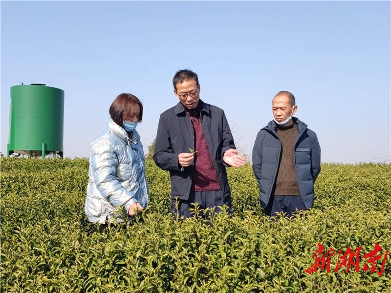 科技人才解难题 农业发展添活力