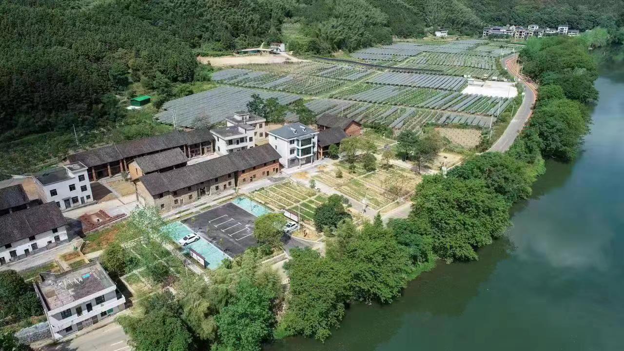 图：苏仙区兰王庙村乡贤人士建设的800亩葡萄基地。