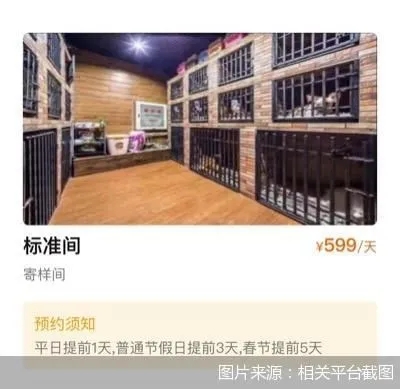 春节宠物寄养费用直逼北京公寓整租价！包月寄养高达5400元
