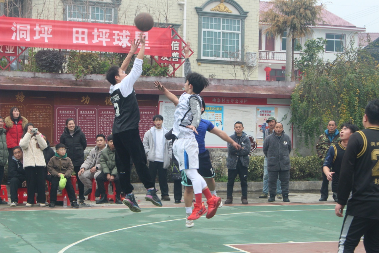 新春走基层|斗画眉 赛鼟锣 新晃春节好不热闹