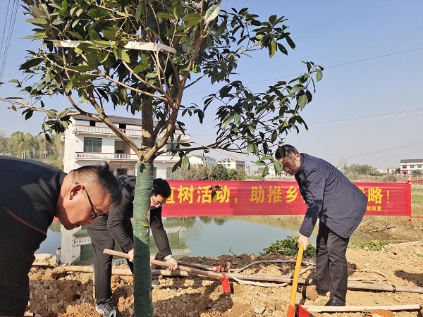 甘棠镇开展义务植树活动