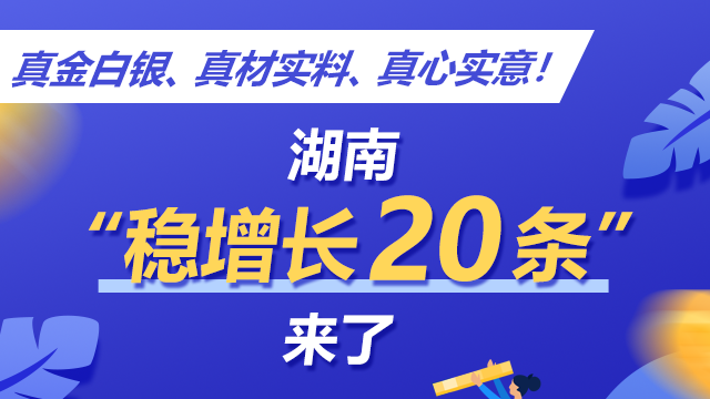 【图解】真金白银、真材实料、真心实意！湖南“稳增长20条”来了