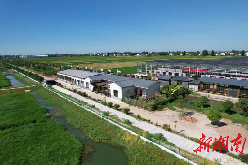 金燕子稻虾生态农场。梁华 摄