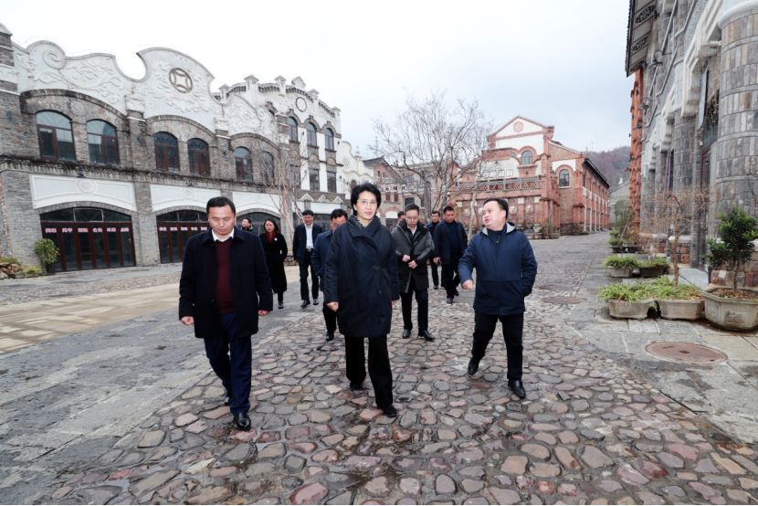 陈华在龙山县调研时强调：全力打好经济增长主动仗 实现一季度开门稳开门红