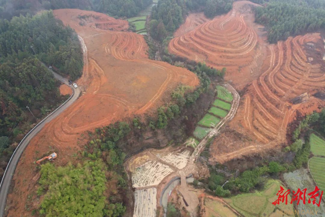 发展山林经济 建设绿色银行丨安仁县丘岗开发为乡村振兴注入新动能
