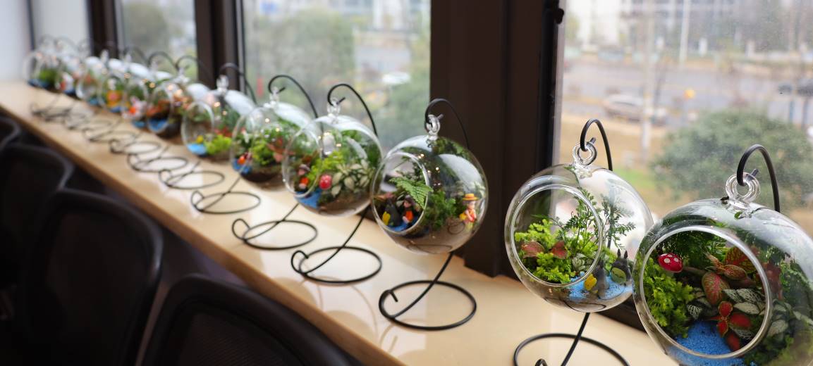 "方寸之间,大有可为" 微景观diy畅谈微治理 - 乡村动态 - 乡村振兴