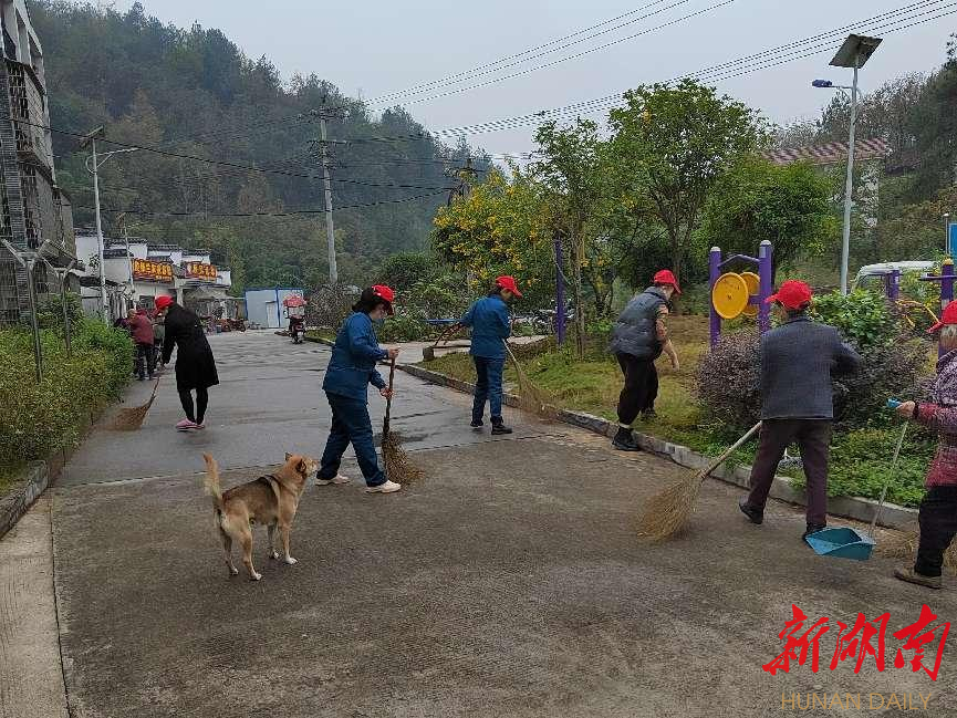 凉亭坳乡杨潭村:整治人居“小环境” 擦亮乡村 “高颜值” - 鹤城 - 新湖南
