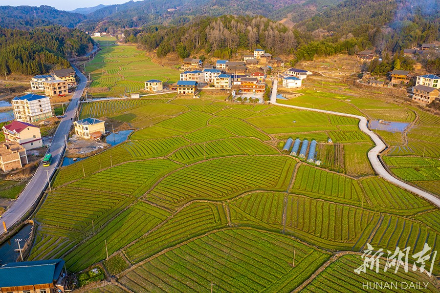 初春乡景美如画 - 乡村新貌 - 乡村振兴 - 华声在线