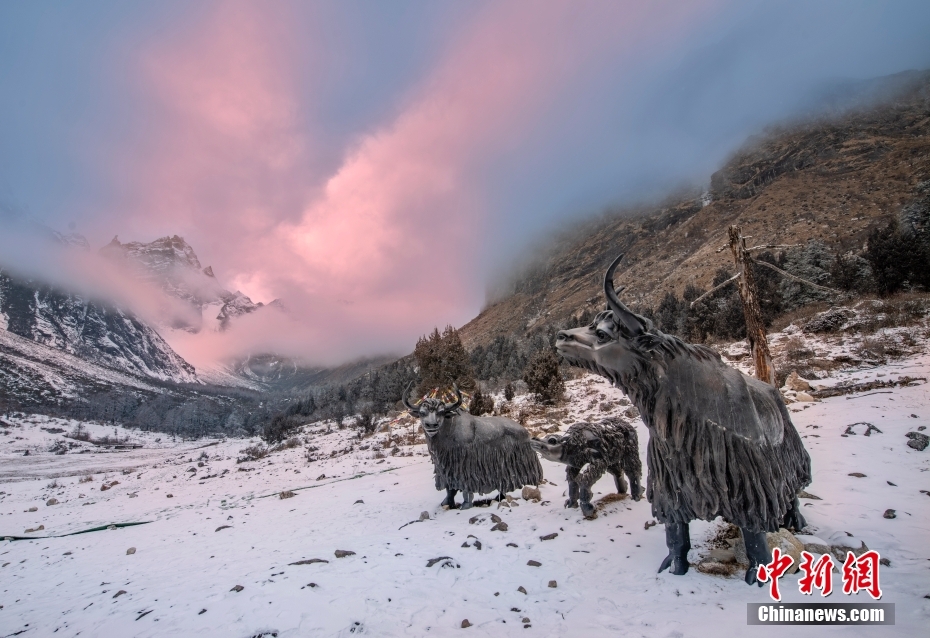 四川理县雪后银装素裹 毕棚沟风景区美如画