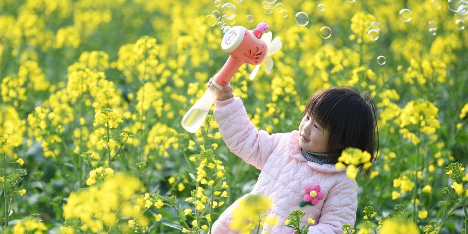 花开春意浓