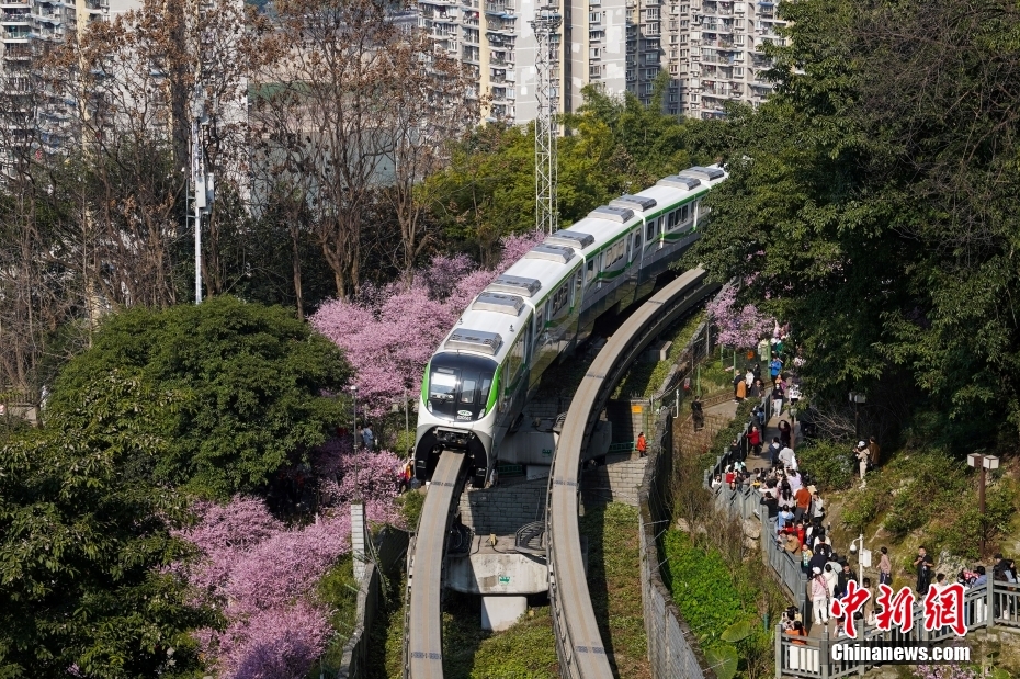 重慶版“開往春天的列車”吸引民眾前來打卡