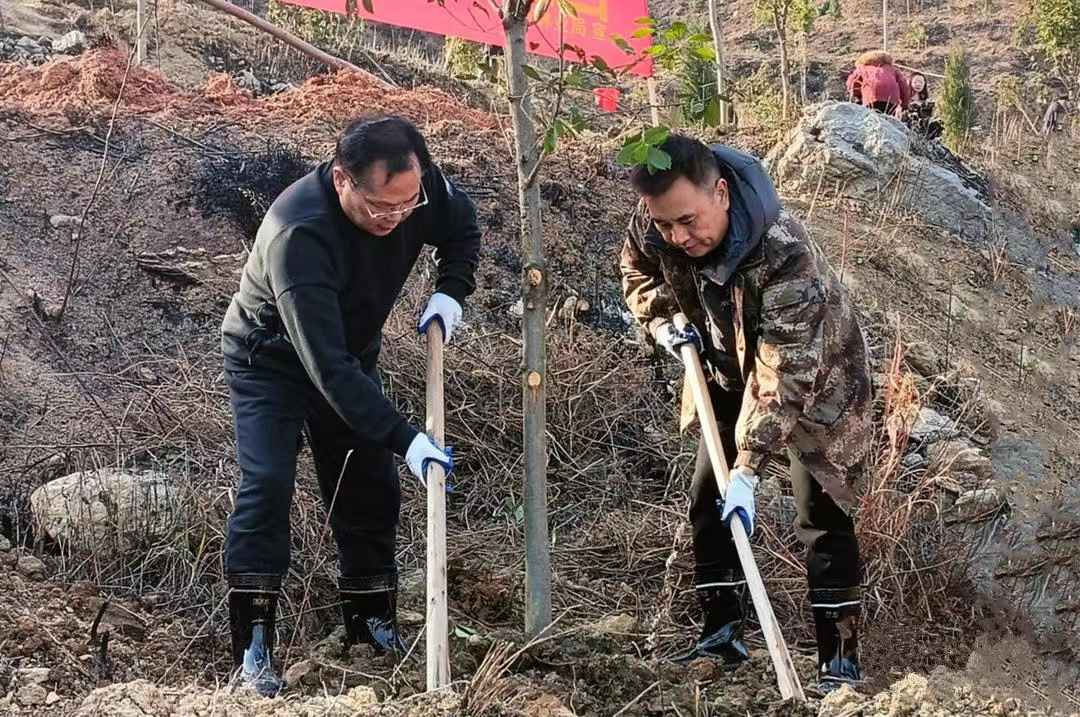 冷水江：全民植樹為“銻都”添綠