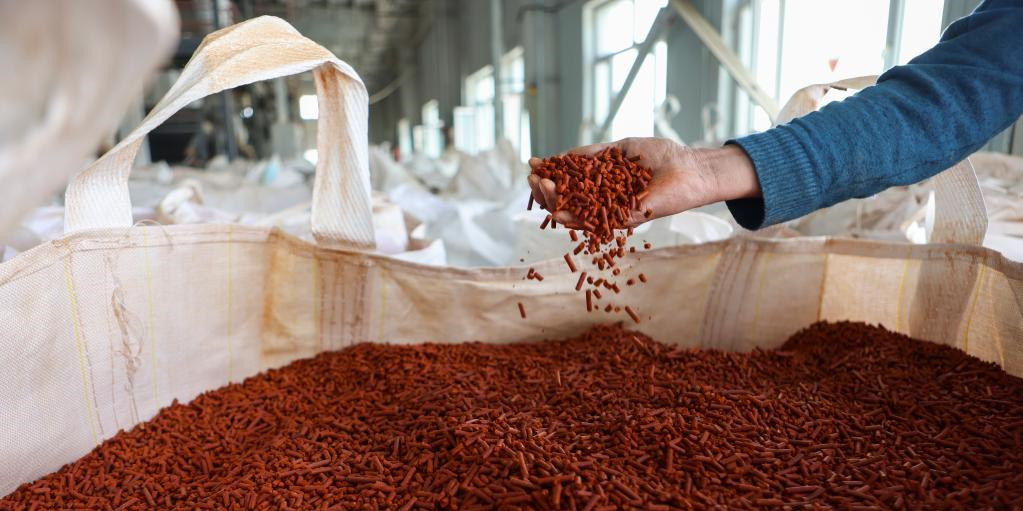 新疆和田：沙漠腹地的辣椒产业