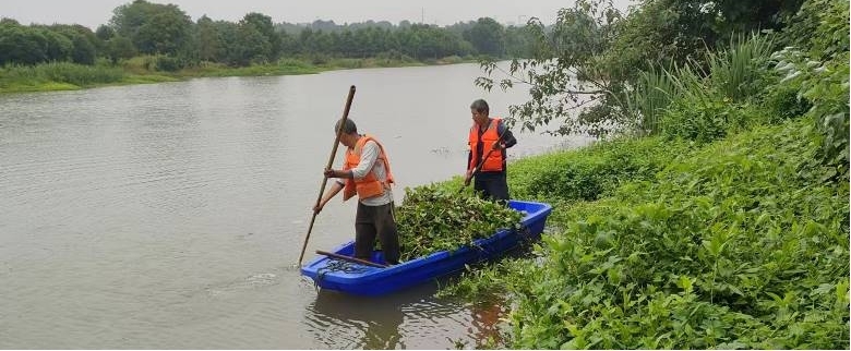 河滩治理先行者：盖土网如何守护生态屏障 (河道治理视频)-初仟社区