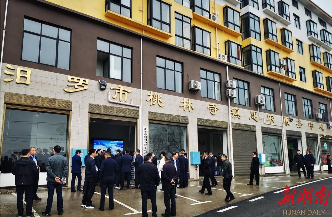 会在岳阳汨罗市举行,与会代表现场观摩了汨罗市桃林寺镇惠农服务中心