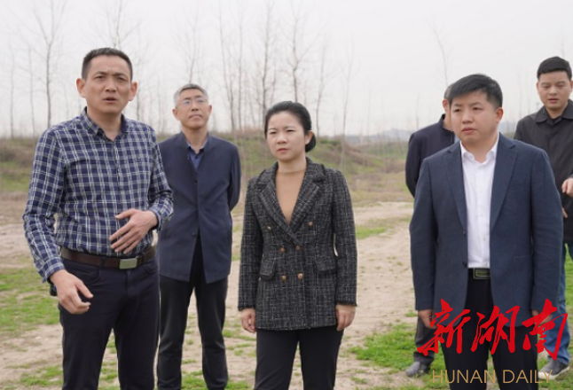 蒋春艳开展2023年第一季度巡林,巡河工作-新湖南