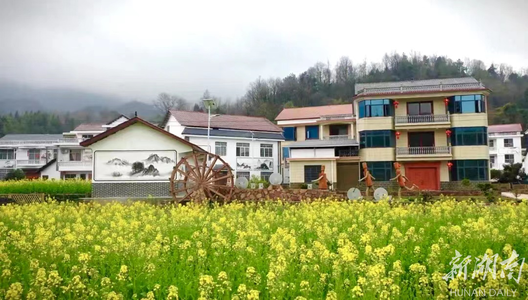 桑植瑞塔铺镇:春耕正当时 乡村产业兴-新湖南