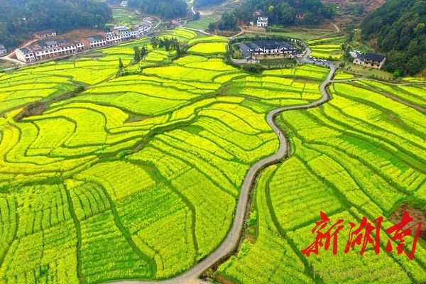 4月9日,第二届“国藩之路”半程马拉松赛双峰开跑