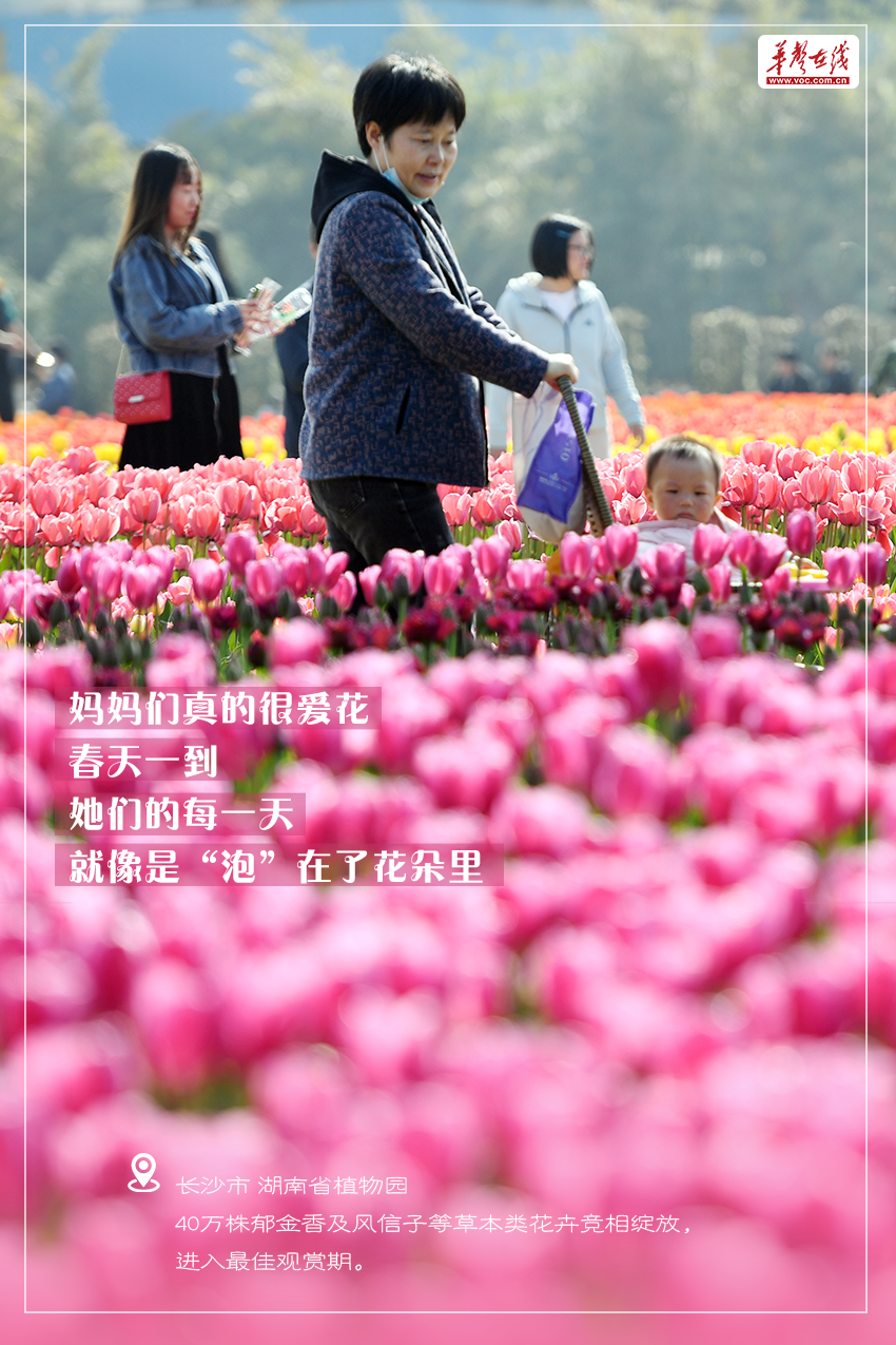 【海报】春天里，跟妈妈一起逛“花园”