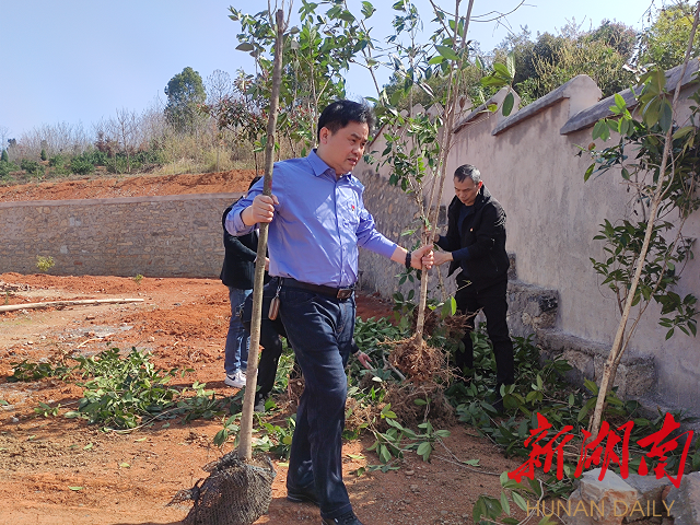 双峰县就业服务中心：植树添绿，助力乡村振兴
