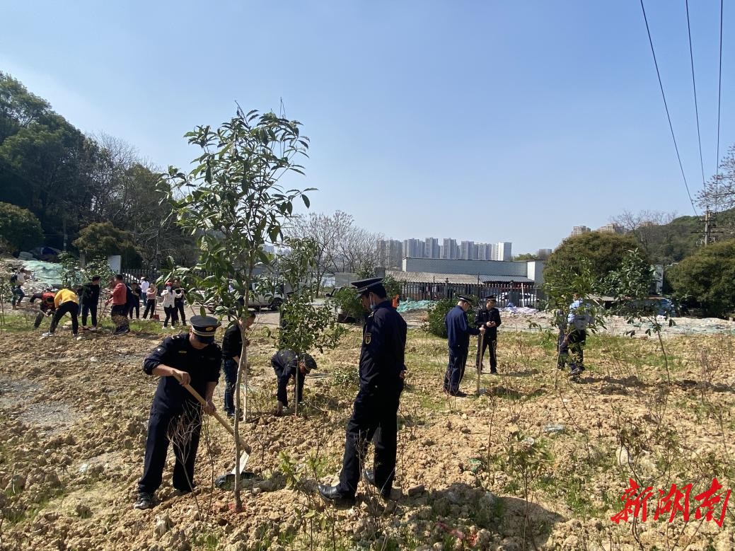 湖南湘江新区西湖街道开展全民义务植树活动
