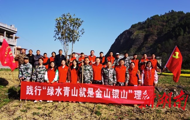 沅陵荔溪乡：阳春三月万物苏 植树绿化正当时