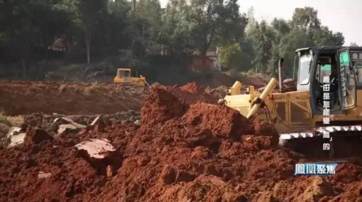 网媒看岳阳 | 凤凰卫视聚焦汨罗高标准农田建设