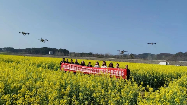 图片新闻│辰溪政府购买服务,助力油菜病虫害防控