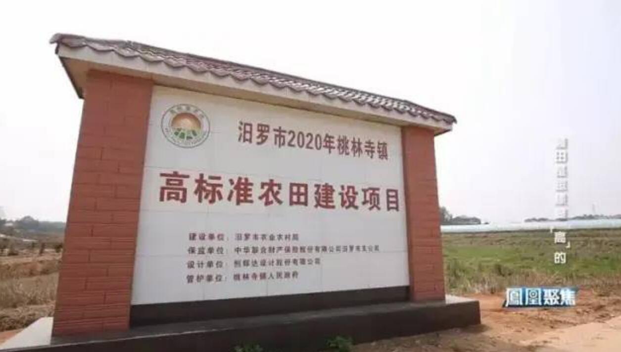网媒看岳阳 | 凤凰卫视聚焦汨罗高标准农田建设