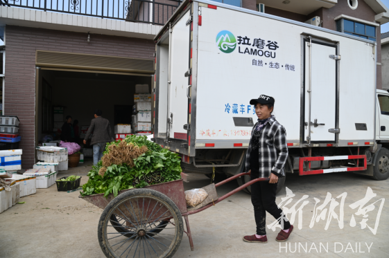 有了冷链车,高山蔬菜卖得更好了