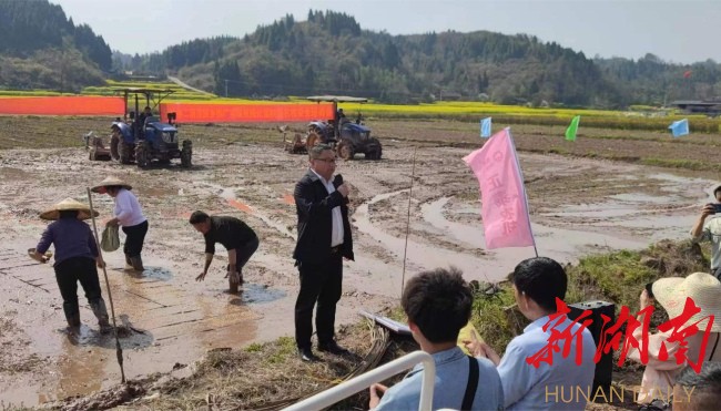 沅陵二酉苗族乡  科技支农助振兴  粮食安全有保障