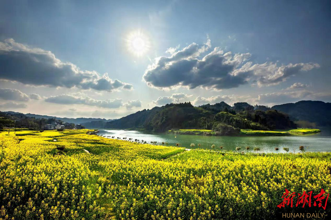 山水大陂流 花海醉游人——2023年泸溪大陂流第五届油菜花艺术节开幕现场特写