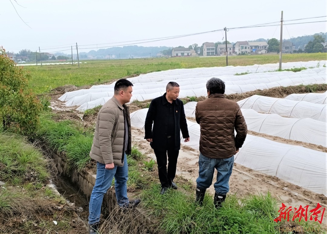 指导组与高桥镇荷叶塘村种粮大户刘新良（右一）在集中育秧点交流。袁静 摄