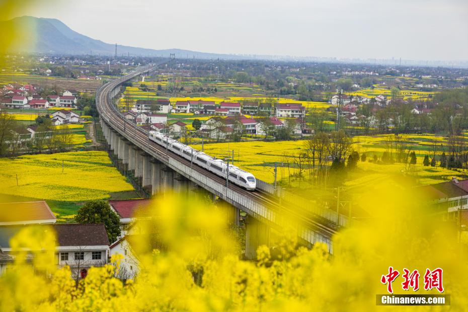 乘“開往春天的列車” 賞最美油菜花海