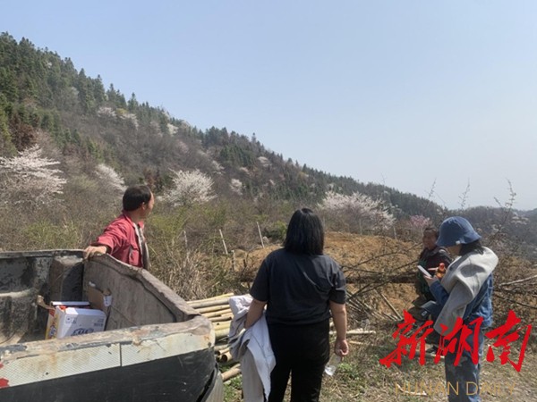 实地调研产业及村集体经济发展情况