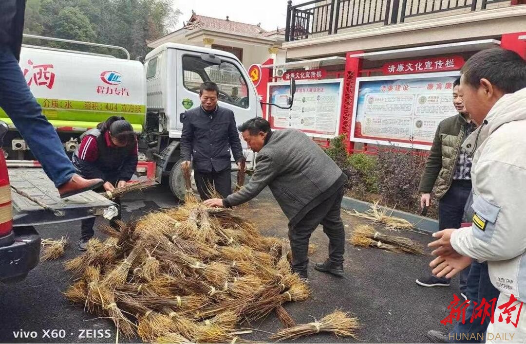 苗木排放现场。熊壮 摄