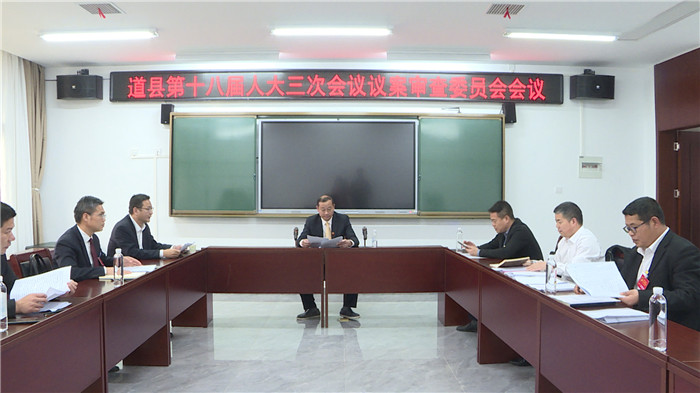 要闻｜道县第十八届人民代表大会第三次会议举行议案审查会议