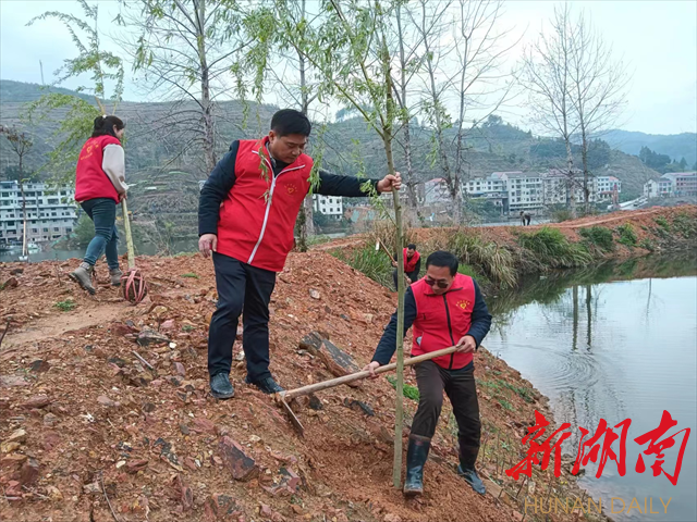 新邵县委宣传部到联点帮扶村开展义务植树活动