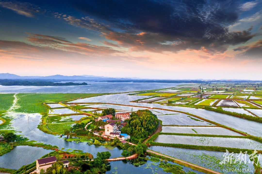 江南镇:花海缀山河 农旅绘丰景