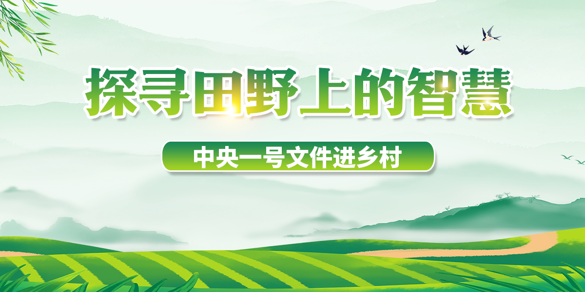 【专题】探寻田野上的智慧——中央一号文件进乡村