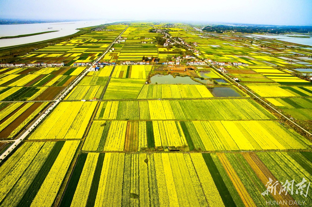 江南镇:花海缀山河 农旅绘丰景 