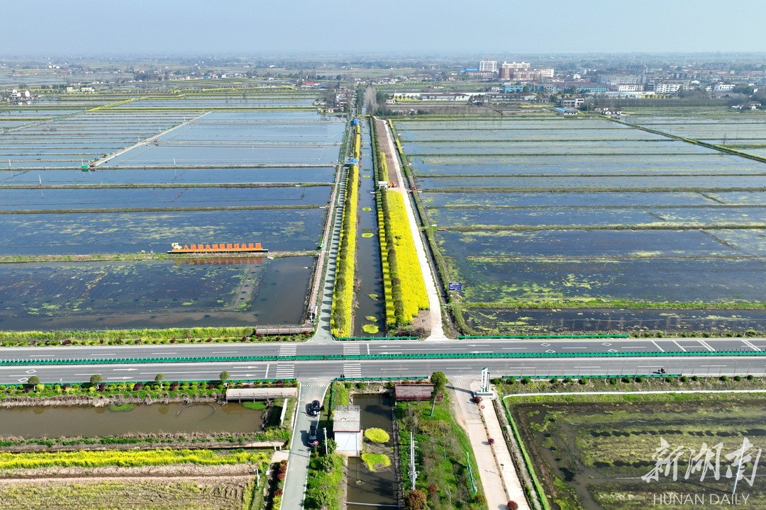 致富经养虾_致富经养殖虾_致富经淡水虾养殖视频