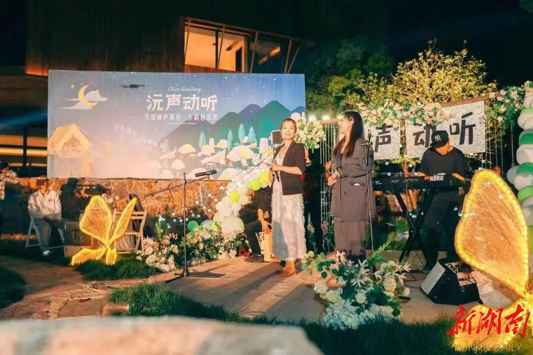 音乐会现场。