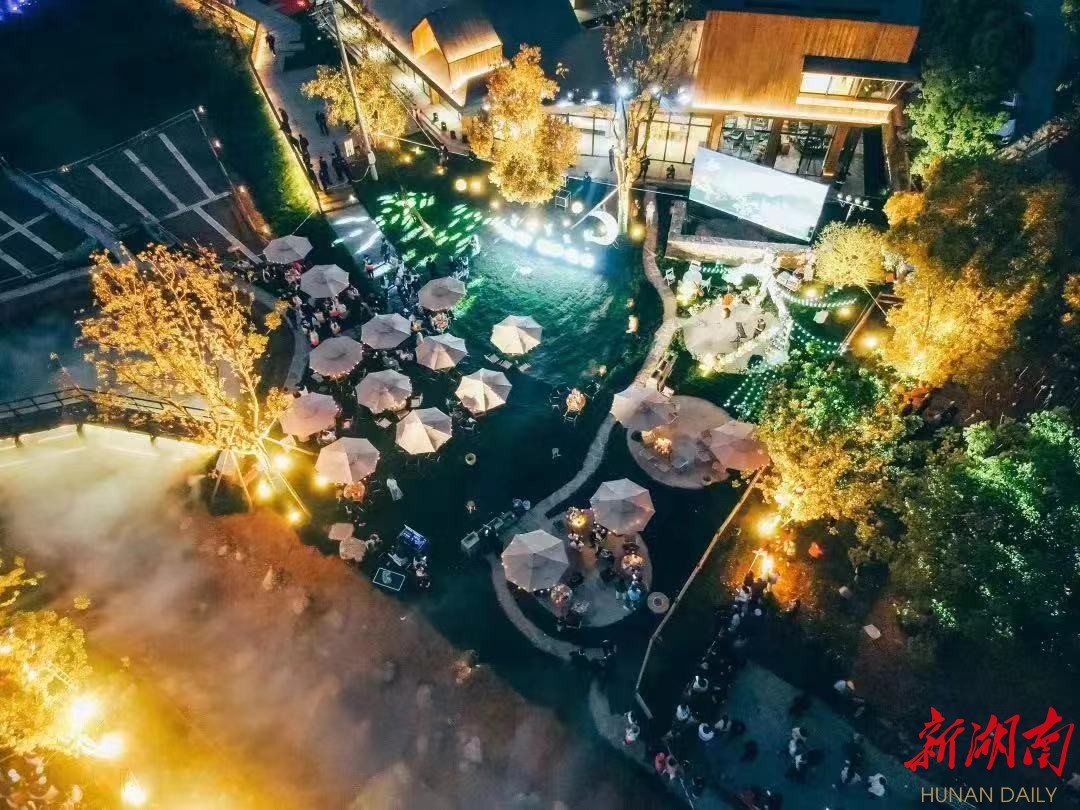 音乐会现场俯瞰图。