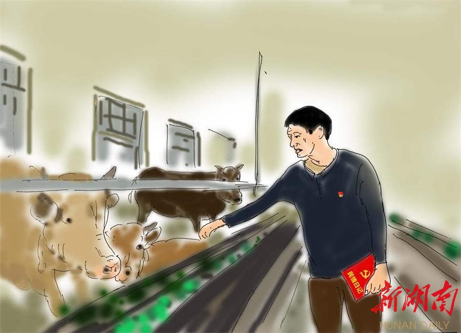 漫画丨东安"第一书记"驻村忙 - 新湖南客户端 - 新湖南