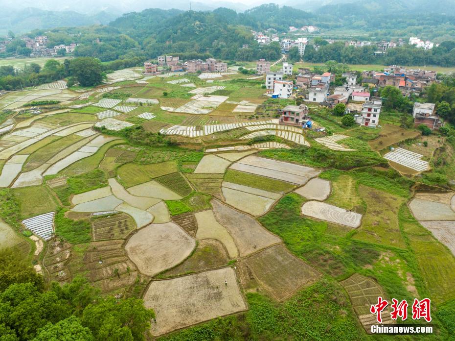 航拍廣西春日鄉(xiāng)村畫(huà)卷 大地宛如調(diào)色板